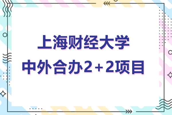 上海财经大学中外合办2+2项目