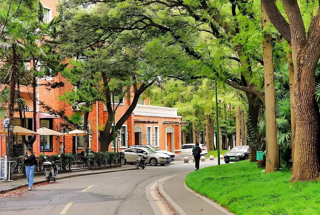 上海理工大学-环境图片