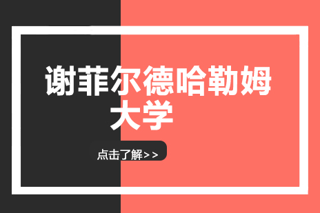 谢菲尔德哈勒姆大学国际本科