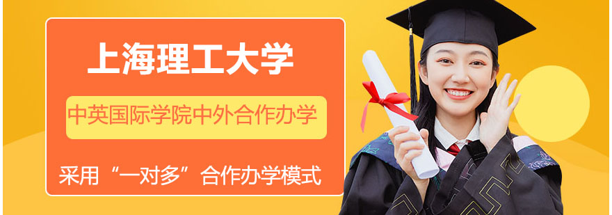 上海理工大学中英国际学院校园