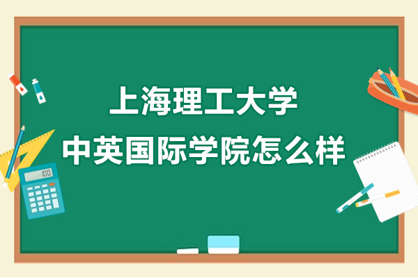 上海理工大学中英国际学院怎么样