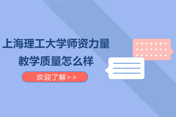 上海理工大学国际教育特色深度解析