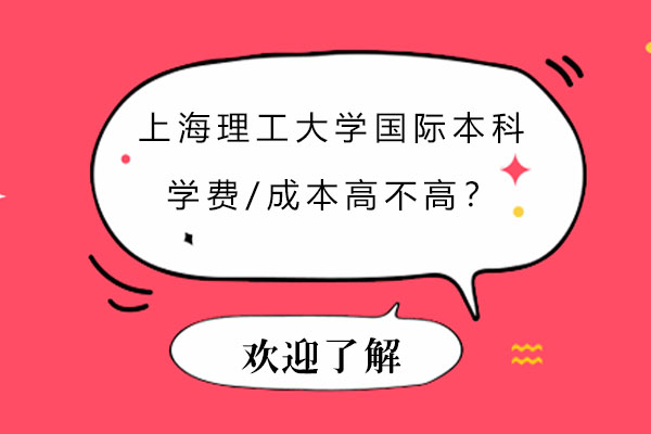 上海国际本科教育成本深度解析