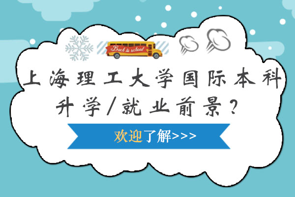 上海理工大学国际本科发展路径全解析
