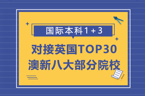 上海大学国际本科1+3