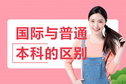 上海理工大學本科教育體系深度解析