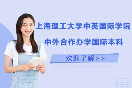 上海理工大学中英国际学院中外合作办学国际本科项目