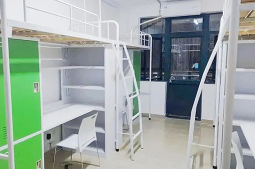 上海理工大学中英国际学院国际本科