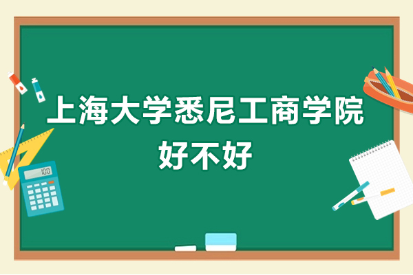 上海大学悉尼工商学院好不好