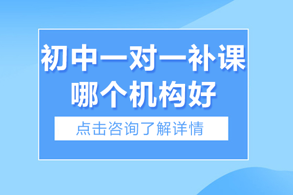 广州龙文教育初中全科一对一辅导深度解析