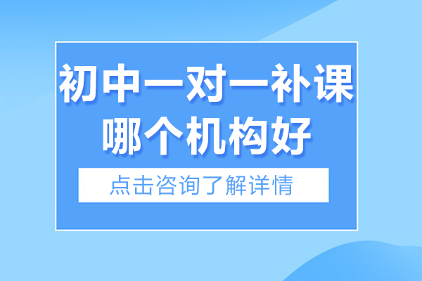 广州初中一对一补课哪个机构好