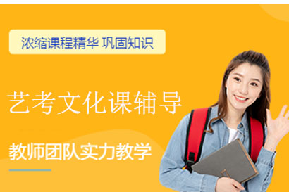 深圳艺考文化课辅导