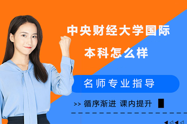 中央财经大学国际本科深度解析