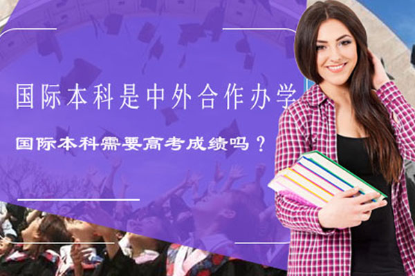 国际本科升学路径深度解析