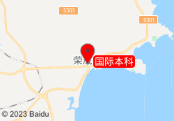 国际本科