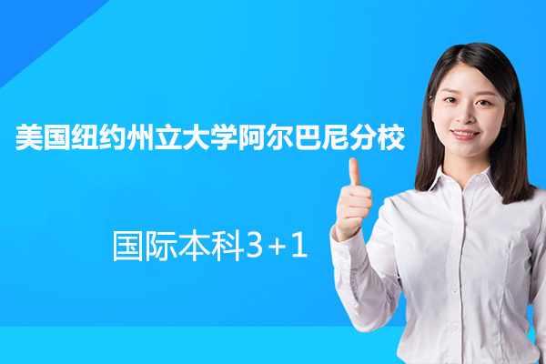 美国纽约州立大学阿尔巴尼分校国际本科3+1
