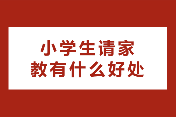 小学生请家教有什么好处-小学生请家教有哪些好处