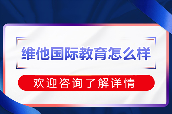 上海维他国际教育深度解析