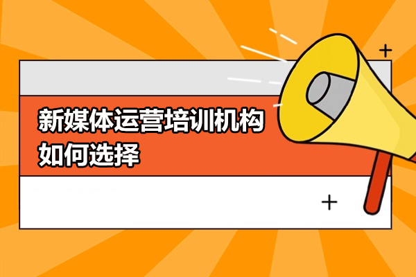 新媒体运营培训机构如何选择-新媒体运营培训机构怎么选择