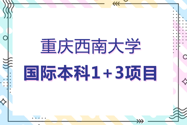 重庆西南大学国际本科1+3项目