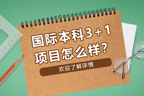 国际本科3+1项目深度解析