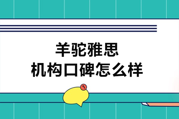 羊驼雅思机构口碑怎么样