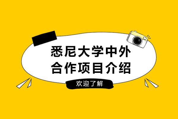 悉尼大学中外合作项目介绍