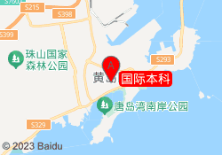 国际本科