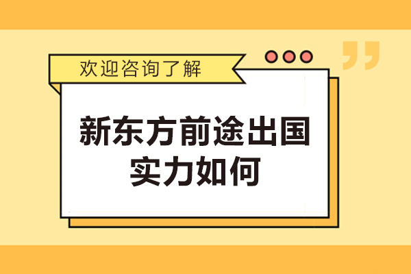 哈尔滨新东方前途出国实力如何