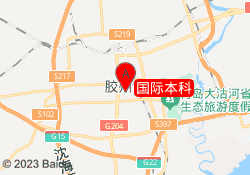 国际本科