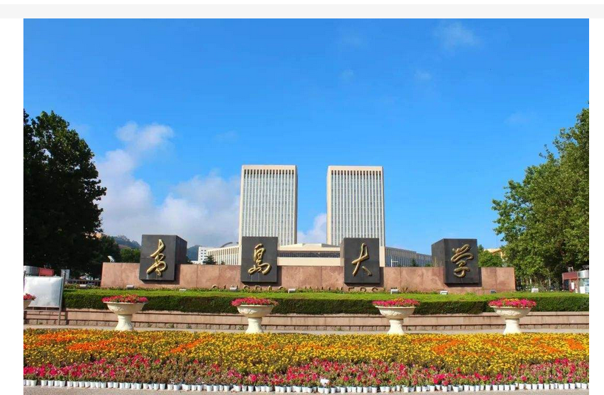 青岛大学1+3/2+2/3+1国际本科