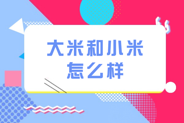 杭州大米和小米怎么样-好不好