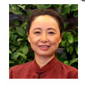 王黎  教授