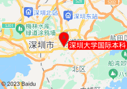 深圳大学国际本科