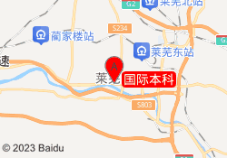 国际本科