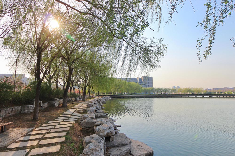山东师范大学3+1国际本科