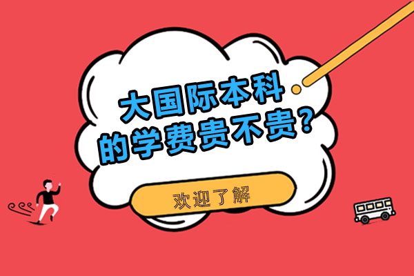 深大国际本科课程费用解析
