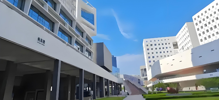 深圳大学国际本科学院