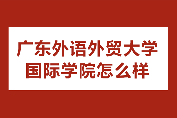 广东外语外贸大学国际学院怎么样