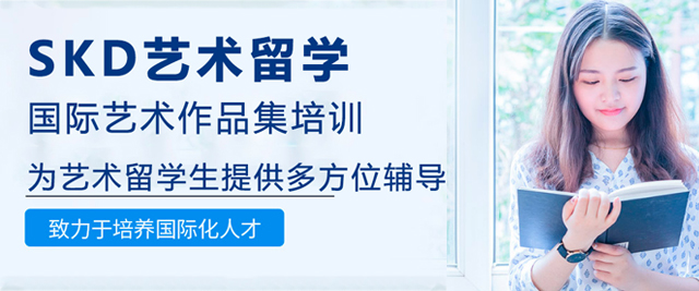南京skd国际艺术教育
