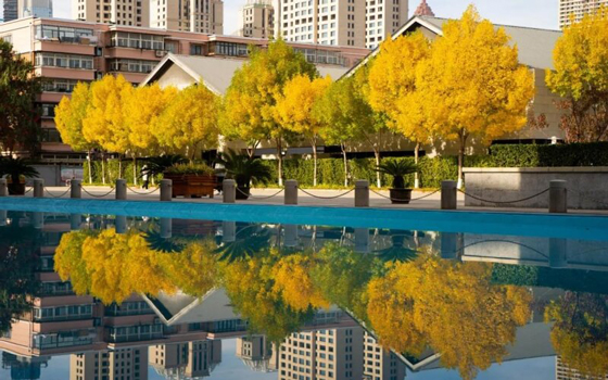 天津音乐学院国际艺术教育学院