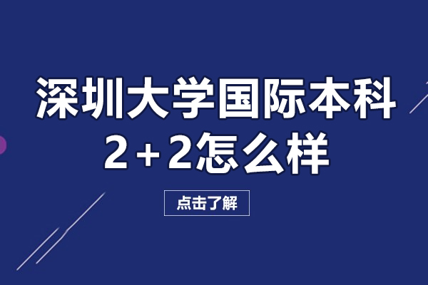 深圳大学国际本科2+2怎么样