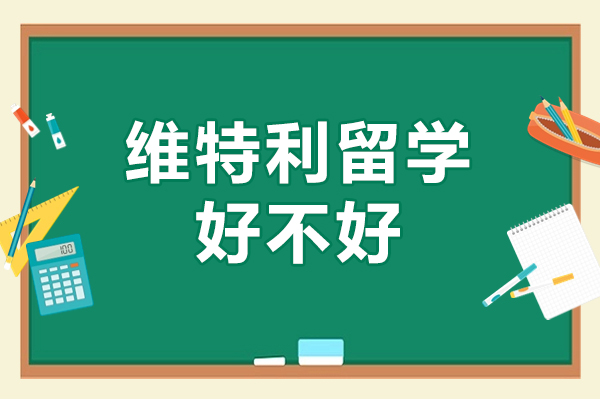 深圳维特利国际教育深度解析