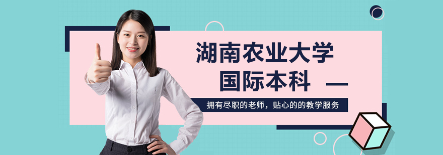 国际学院教学场景