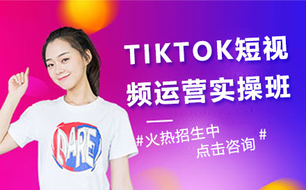 TIKTOK短视频运营实操班