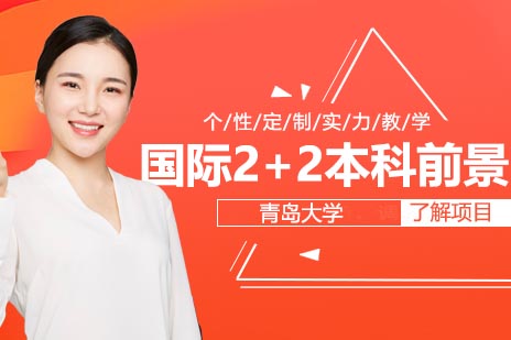 青岛大学国际本科2+2项目深度解析
