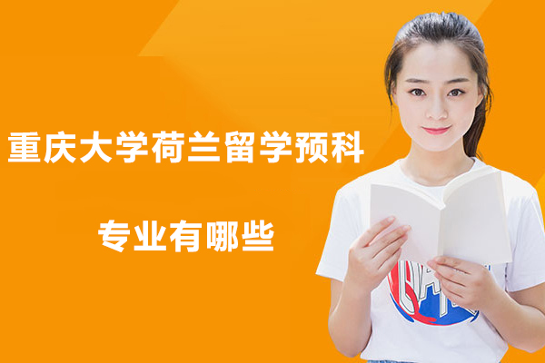 重庆大学荷兰留学预科专业全解析｜国际本科课程IFC详解