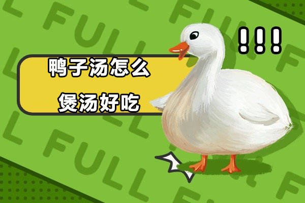 六种养生鸭汤的创意烹饪指南