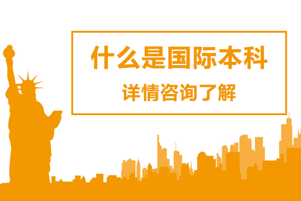 国际本科项目深度解析