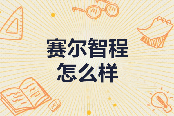 赛尔智程国际教育深度解析